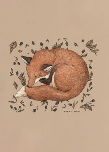 Sleeping Fox by Jessica Roux