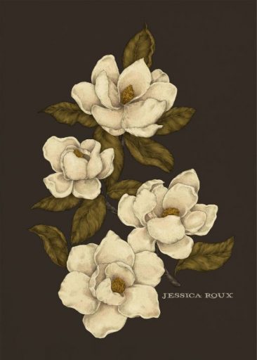 Magnolias by Jessica Roux